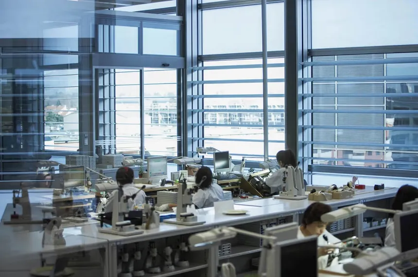 Rolex Replica Factories